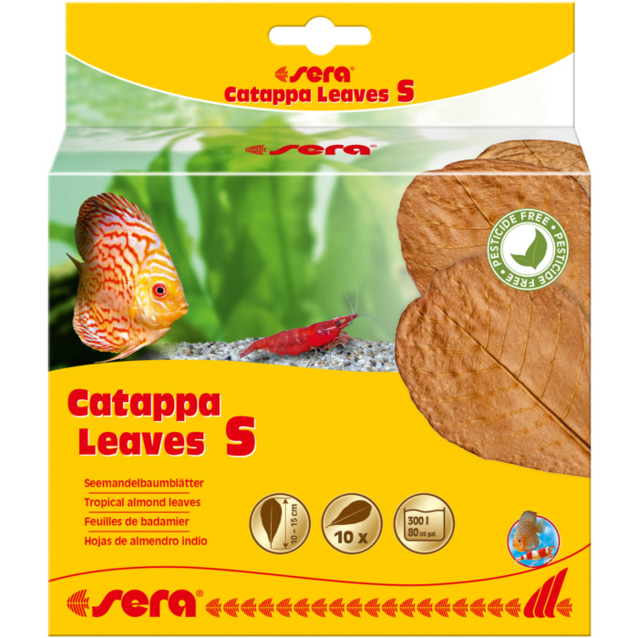 Sera Catappa Leaves S 10-15cm (10und)