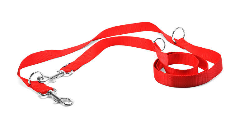 CORREA DE NYLON ADIESTRAMIENTO BASIC RECORD 2,25x100 CM ROJA