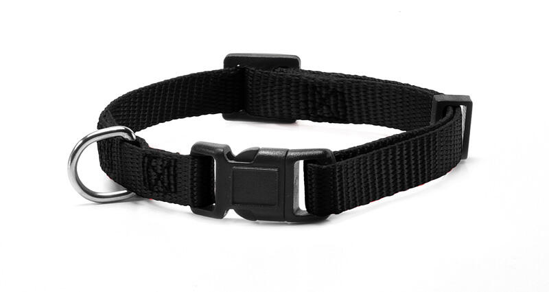 COLLAR DE NYLON BASIC RECORD M 2x (40-53) CM NEGRO