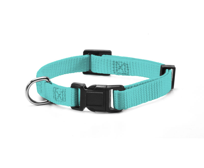 COLLAR DE NYLON BASIC RECORD S 1,5x (33-40) CM CELESTE
