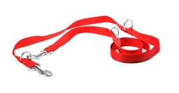 CORREA DE NYLON ADIESTRAMIENTO BASIC RECORD 2,25x100 CM ROJA